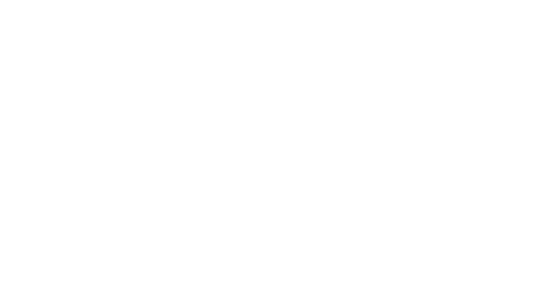 Logo Novacore Logistics